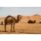 Raid 4x4 au Maroc 