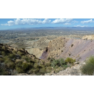 RB 37 - Pistas Y Cine - Vibraction