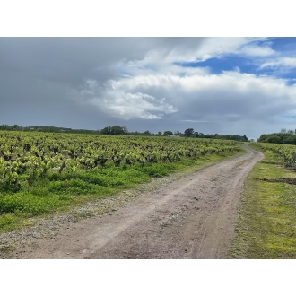 PINRB 14 - Vignobles et Salines - Pistes Natures