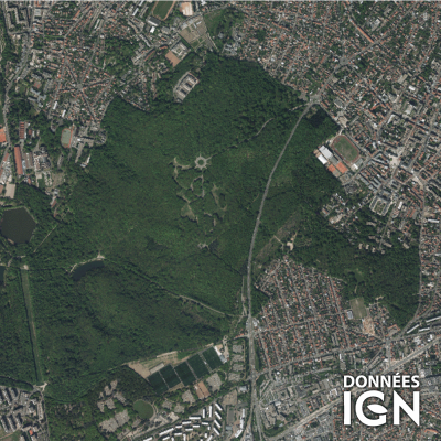 Département IGN - Satellite - Paris 75 - 1 : 25 000