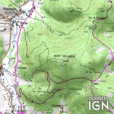 Département Haute-Garonne (31) - 1 : 25 000