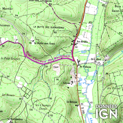 Département Indre-et-Loire (37) - 1 : 25 000