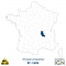 Département IGN - Satellite - Loire 42 - 1 : 25 000