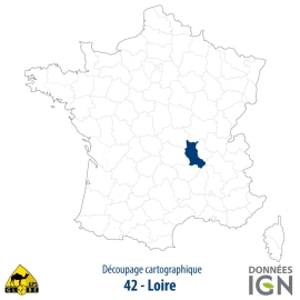 Département IGN - Satellite - Loire 42 - 1 : 25 000