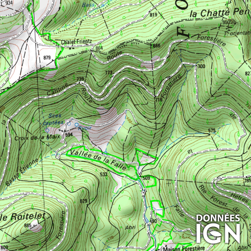 Carte topographique IGN - France entière - 1 : 25 000 