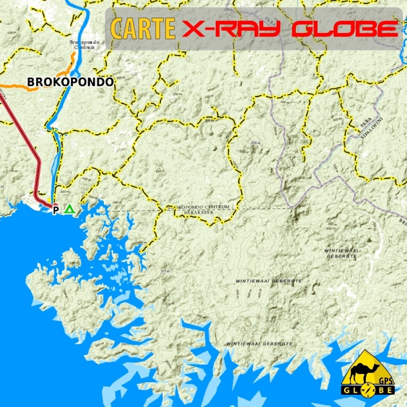 Suriname - X-Ray Globe - 1 : 100 000 TOPO Relief