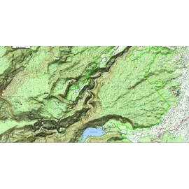 Ile de la réunion (974) - 1 : 25 000