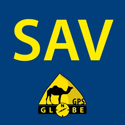 SAV Carte SD GPS Globe