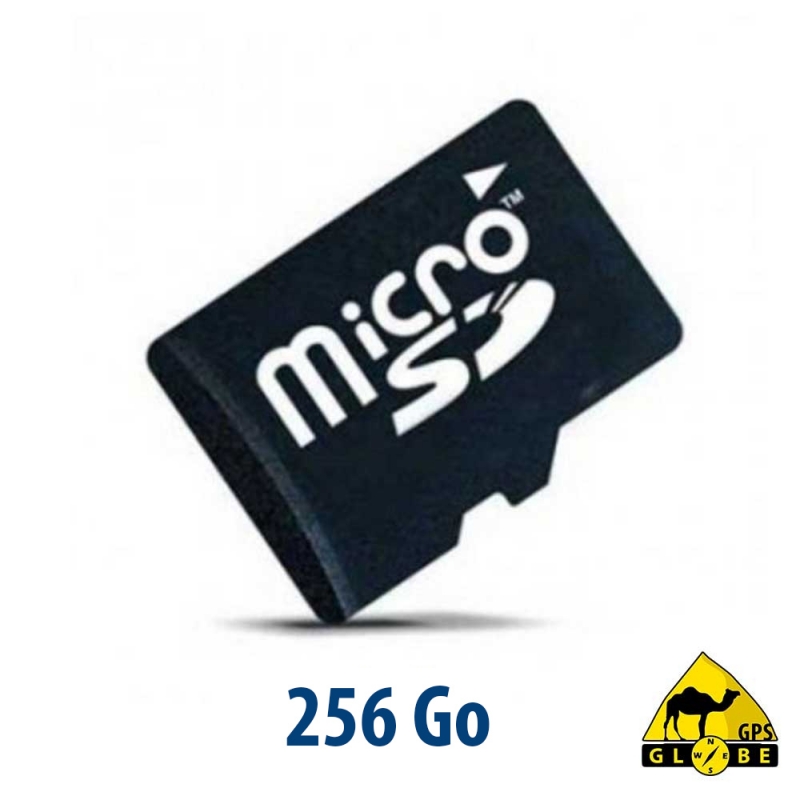 Carte micro SD 256 Go