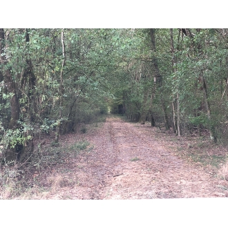 PINRB 6 - Rambouillet à Chenonceaux - Pistes Natures