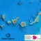 Iles Canaries (Espagne) - GlobeXplorer - 1 : 25 000