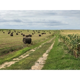 PINRB 7 - Beauvais à Rambouillet - Pistes Natures