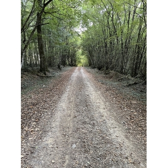 PINRB 10 - Bastides et Palombière