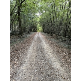 PINRB 10 - Bastides et Palombière