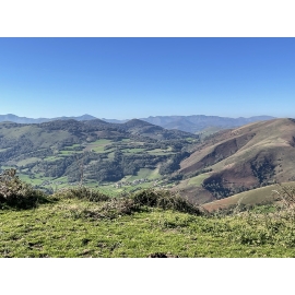 PINRB 10 - Bastides et Palombière