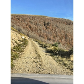 PINRB 10 - Bastides et Palombière