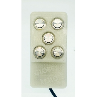 Télécommande Rallye Globe