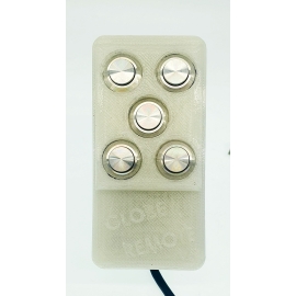 Télécommande Rallye Globe