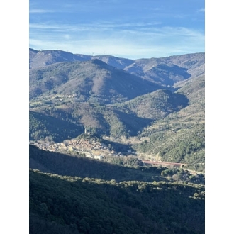 RB 38 - Sur les pistes du haut languedoc - Vibraction